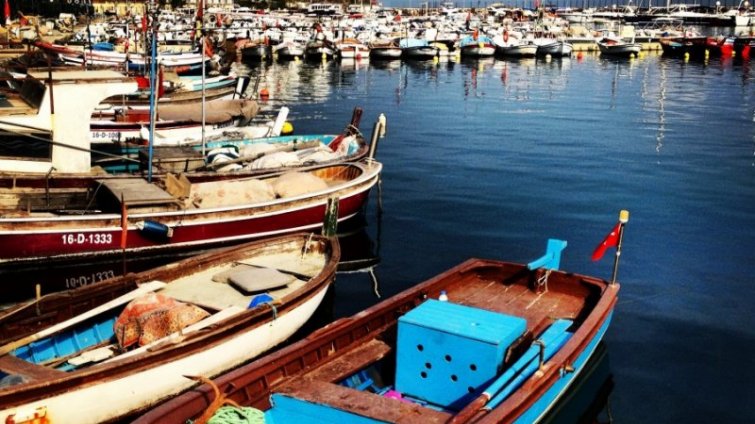 Günübirlik Cumalıkızık Mudanya Trilye Gölyazı Turu